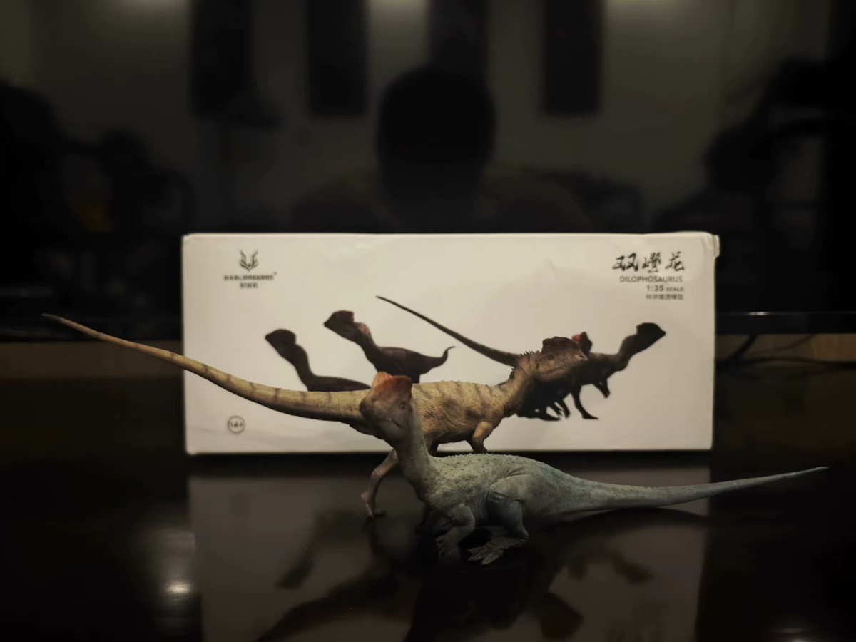 HaoLongGood Jurassic Dilophosaurus, Dinosaurier Modell Figur, ab 14 Jahren - Bild 3