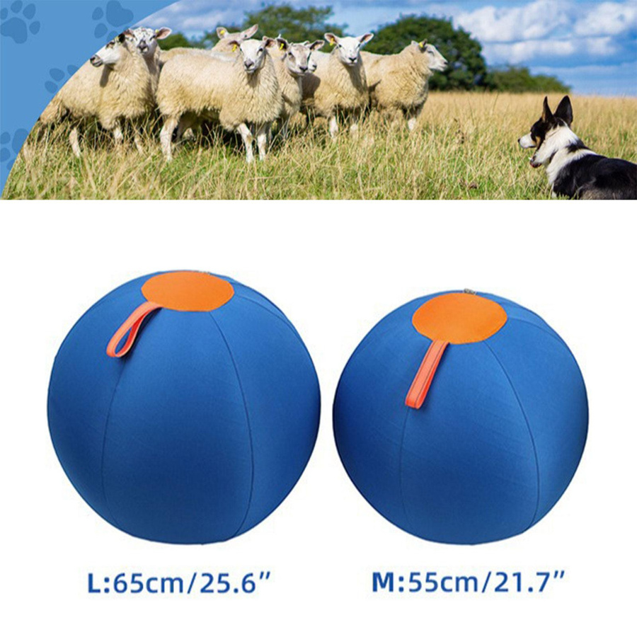 Water Loquat, Großer Treibball für Hunde, Outdoor-Spielzeug - Bild 3