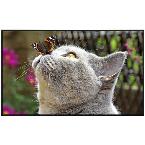 papermoon Infrarotheizung EcoHeat Schmetterling und Katze mit Matt-Effekt in Bunt, App-Steuerung und Überhitzungsschutz - Bild 2