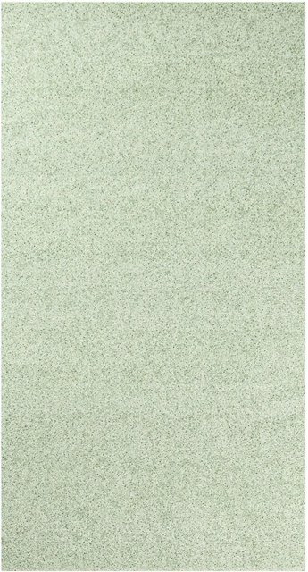 Lola&Moi Teppich Pearl Moss in Grün mit nebelartigem Muster, Breite: 80 cm, Tiefe: 150 cm - Bild 1