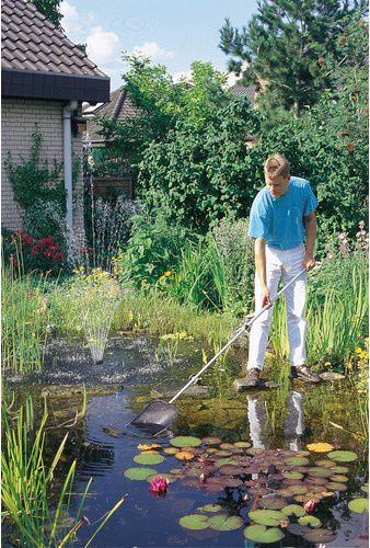 Oase Algenkescher grau rechteckig B: 26 cm, H: 38 cm - Bild 1