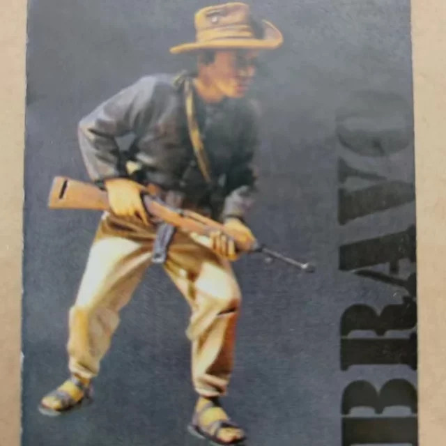 BAANFU Moderner militärischer vietnamesischer ziviler Kämpfer, Modellbausatz, Maßstab 1:35, unmontiert, unbemalt - Bild 1