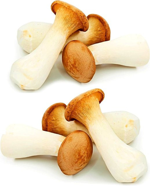 Garten-Pilze Kräuterseitling Set - Bild 1