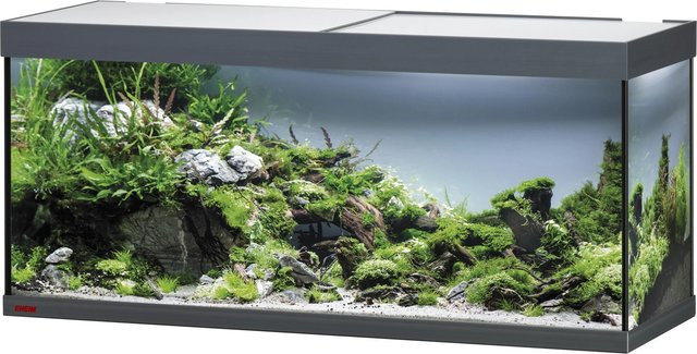 Eheim Aquarium Vivaline LED 240 Glasbecken mit Abdeckung in Anthrazit - Bild 1