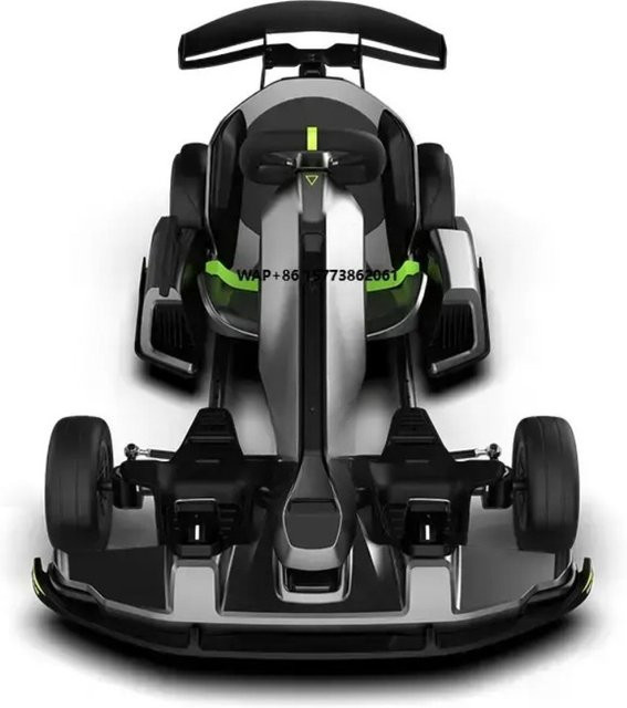 Segway Ninebot Pro2 Elektro-Gokart, Schwarz - Bild 1
