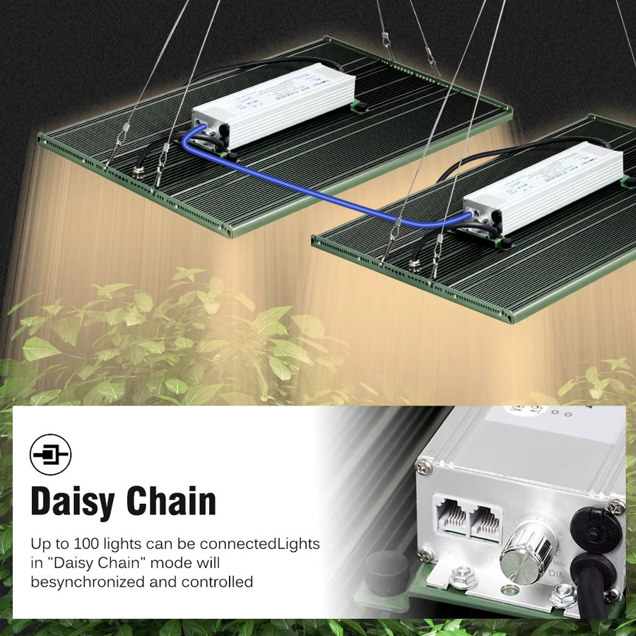 GRAXGROW 300 W LED-Wachstumslampe mit Vollspektrum-Beleuchtung und Dimmknopf aus Aluminium für Blumen und Gemüse - Bild 3