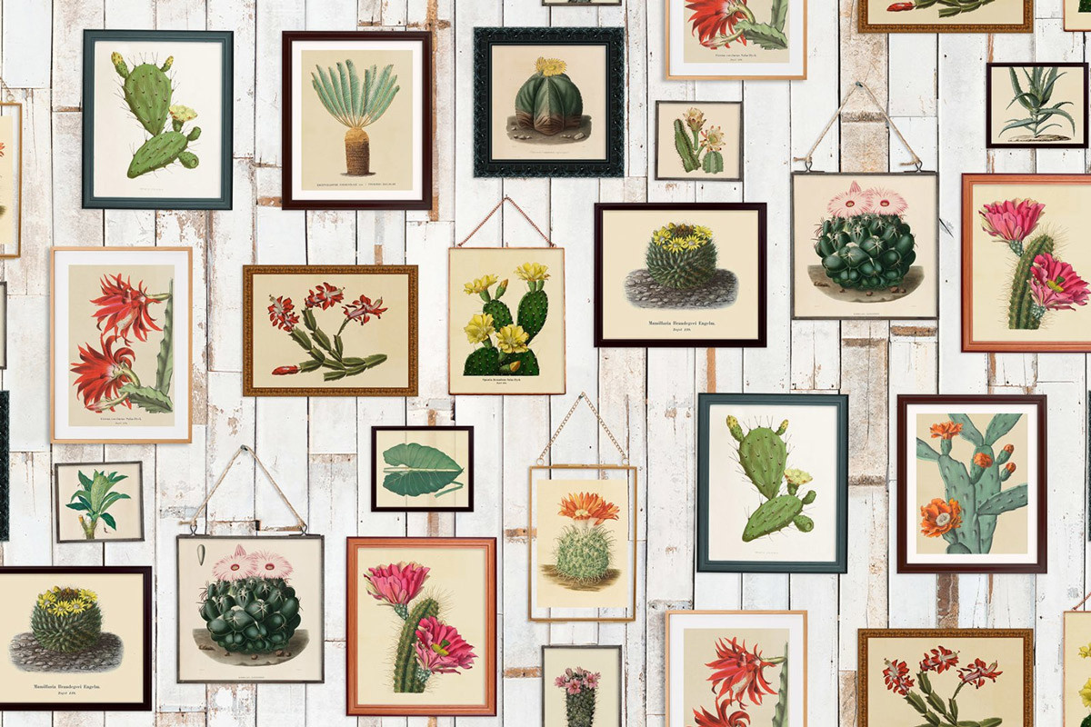 Rebel Walls Mural Cactus Wall Art Wandtattoo mit floralem Kaktus-Motiv in Multicolour - Bild 3