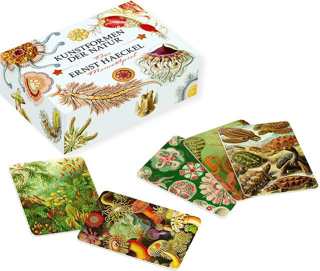 Das Ernst-Haeckel-Memo-Spiel, Natur, Tiere, Geschicklichkeit - Bild 1