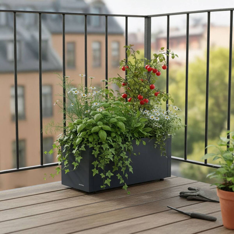 Herstera Garden Pflanzkübel Cube aus Metall in Anthrazit B/T/H: 60 x 25 x 25 cm - Bild 5