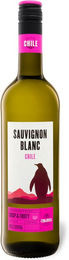 CIMAROSA Chile Sauvignon Blanc 2022, trockener Weißwein aus Valle Central, 0,75 l - Bild 1