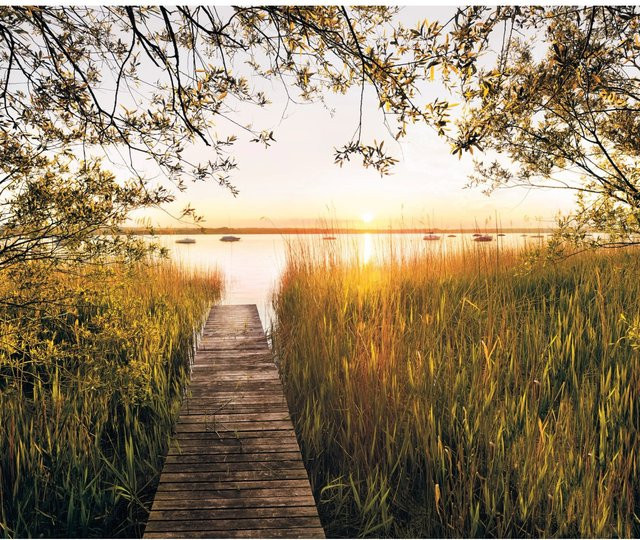 Komar Fototapete Vlies Lakeside Multicolor B: 300 cm, H: 250 cm - Bild 1