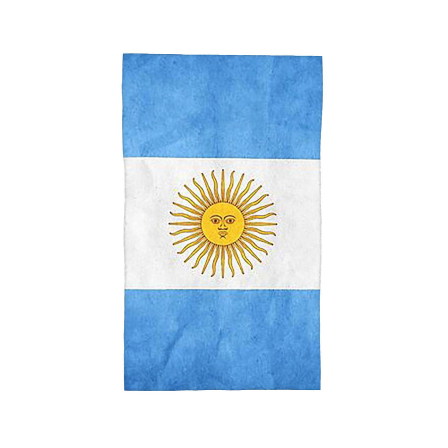 Saugfähiges Baumwollhandtuch mit Argentinien Flaggen-Design, Weiß, B: 40 cm, H: 60 cm - Bild 3