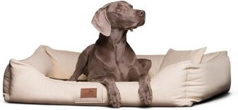 Tierlando MADDOX KOMFORT Hundebett Hundesofa aus Kunstleder in Creme mit abnehmbarem Bezug, B/T/H: 150 x 100 x 25 cm - Bild 1