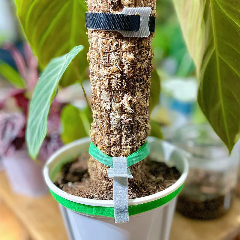 Selbstklebende Nylon-Kabelbinder für Pflanzen in Grün, wiederverwendbare und verstellbare Stützpfähle mit Hakenschlaufe für den Garten - Bild 4