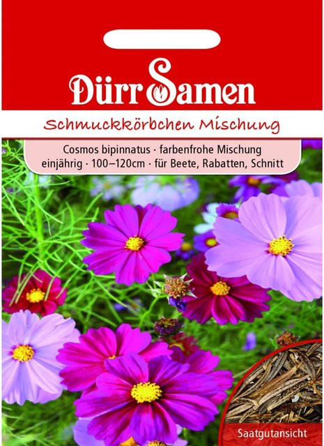 Dürr Samen Cosmea Prachtmischung Einjähriges Saatgut für Beete und Rabatten 100 g - Bild 1