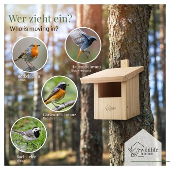 WILDLIFE HOME Nistkasten für Rotschwänzchen aus Holz - Bild 2