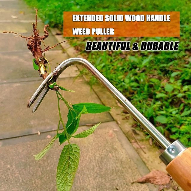 Unkrauthaken Unkrautabzieher zur Entwurzelung als Handwerkzeug für Garten und Farm - Bild 1