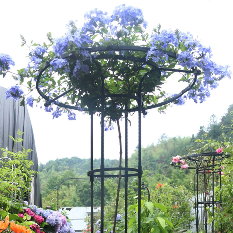 HiMISS Garten-Rundspalier aus Stahl als vertikale Kletterpflanzen-Stützstruktur und Schirmspalier-Turm - Bild 2