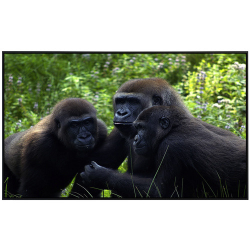 papermoon Infrarotheizung EcoHeat Gorilla mit Matt-Effekt in Bunt, App-Steuerung und Überhitzungsschutz, B/H/T: 60 x 50 x 50 cm - Bild 2