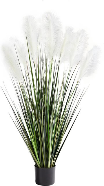 Künstliches Pampasgras Aurelius von Aplanta, Höhe: 122 cm - Bild 1