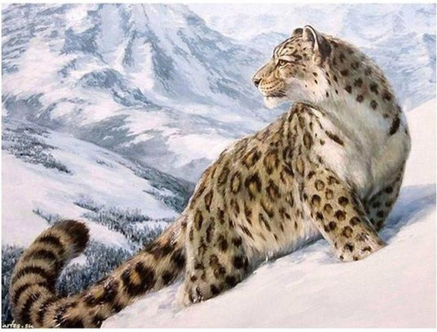 FIYO 5D Diamantgemälde zum Selbermachen mit Leoparden-Motiv in Grau, B/H: 20 x 30 cm - Bild 1