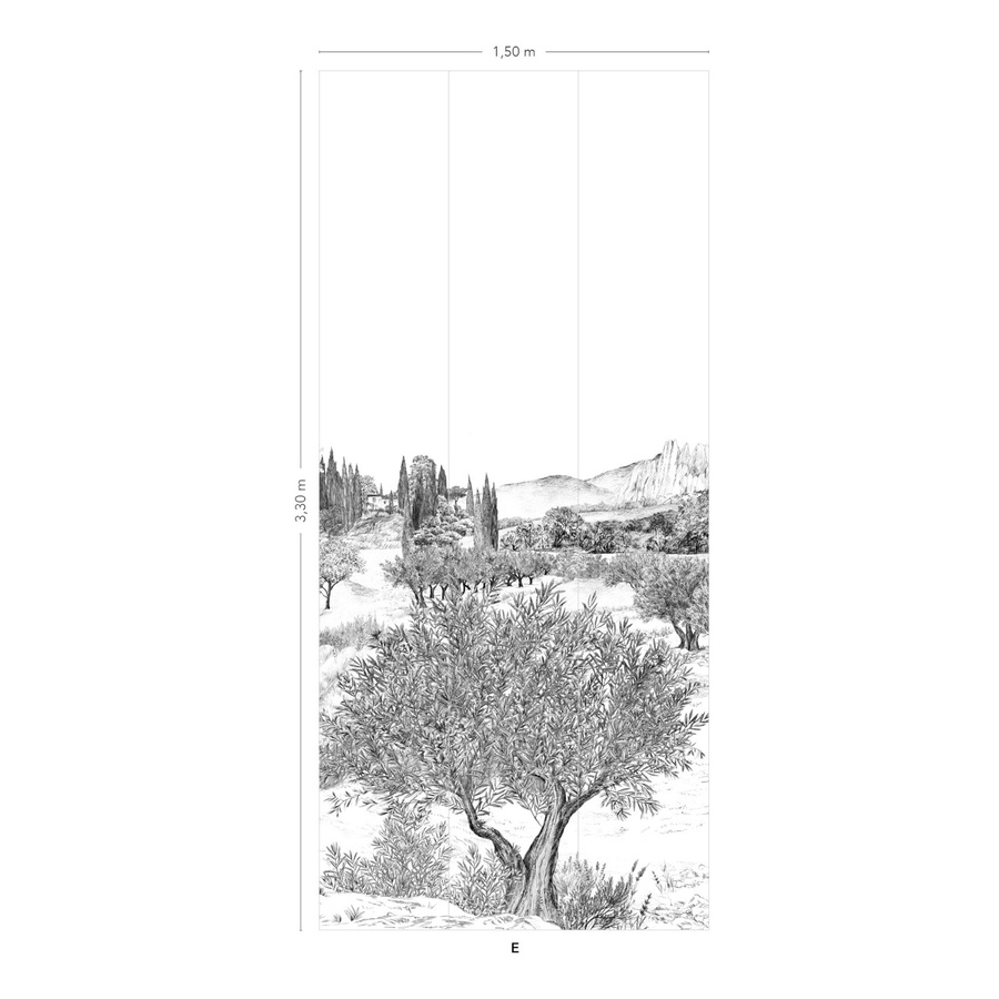 Isidore Leroy Mural Provence Grisaille Panel E Wandtapete in Grau mit floralem Vintage-Design aus Vlies, Breite: 330 cm, Höhe: 150 cm - Bild 1