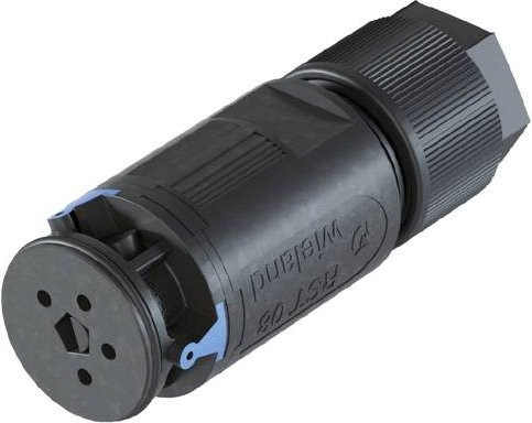 Wieland Electric 41.041.3043.9 Steckverbinder in Blau und Schwarz - Bild 1