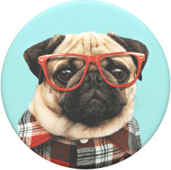 PopSockets PopGrip Studious Stu Handyhalterung in Multicolour - Bild 1