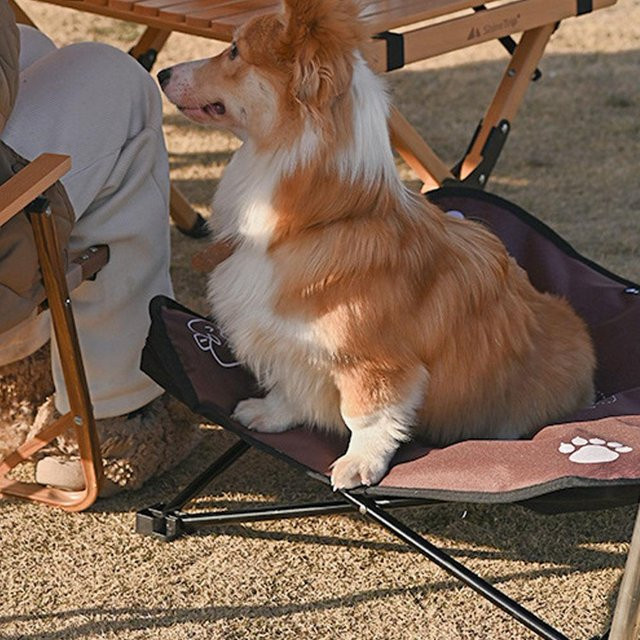 ShineTrip erhöhtes Hunde- und Katzenbett aus Aluminiumlegierung, zusammenklappbares Haustierbett für Camping und Innenbereich, Farbe: Kaffeebraun - Bild 1