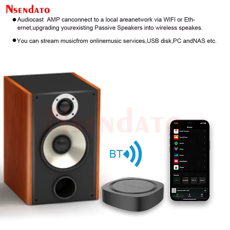 IEAST Audiocast AMP50 Kabelloser WiFi und Bluetooth V5.0 Verstärker Multi-Room Audio Musikempfänger Adapter in Schwarz - Bild 2