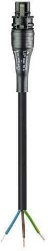 Wieland Electric RST CLASSIC Konfektionierte Leitung 230V 3polig Schwarz Länge: 3,00 m - Bild 1