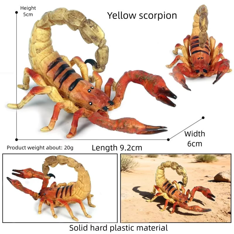 Oenux Insektenfiguren, Käfer-Modelle, Set / Bundle - Bild 2