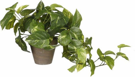 Mica Decorations Künstliche Pothos Pflanze in Grün im Topf, Höhe: 44 cm, Breite: 17 cm - Bild 1