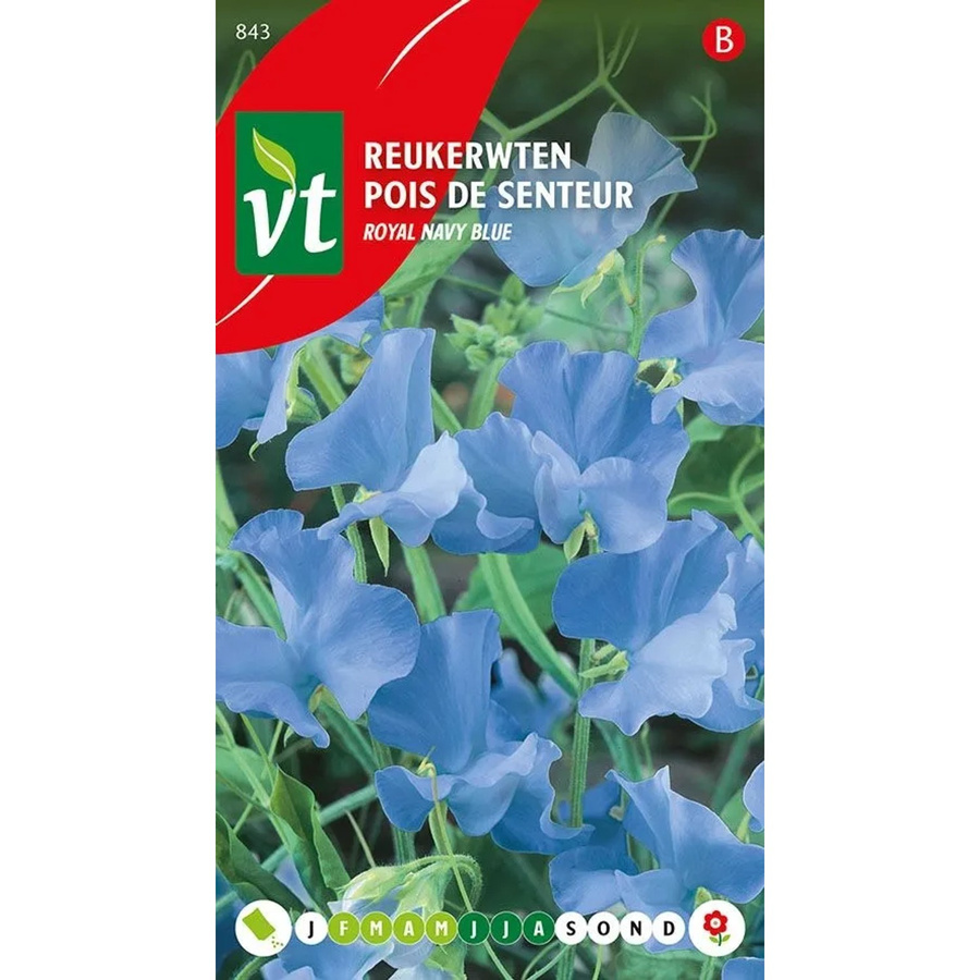Arborix Kletterpflanzen Samen für tiefblaue Blüten, 3 g - Bild 2
