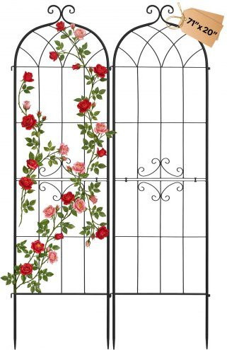 VEVOR Garten Rankgitter Set aus Q195 Stahl für Rosen und Pflanzen, Schwarz, 2er Pack, Höhe: 180 cm, Breite: 52,5 cm - Bild 1