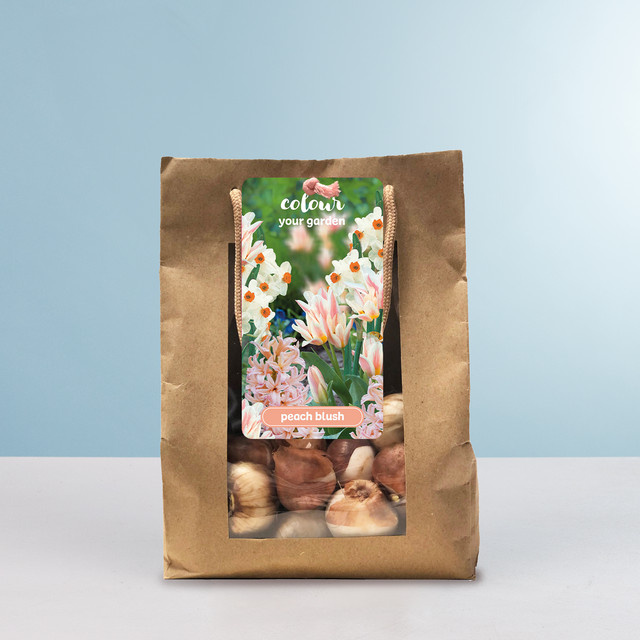 Tulpen, Hyazinthen und Narzissen Peach Blush Mix von BLUME2000 mit 10 Zwiebeln - Bild 1