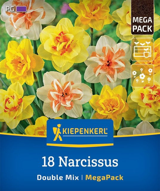 Kiepenkerl Narzissen Gefüllte Mischung Blumenzwiebeln, 18 Stück, bunt und gelb - Bild 1