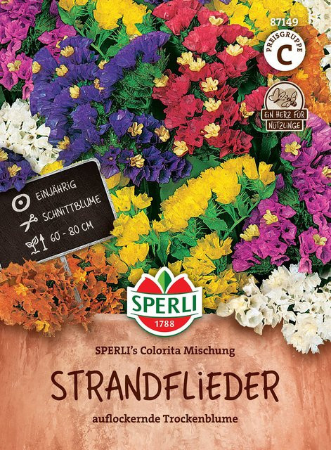 SPERLI Strandflieder-Samen Colorita Mischung bunt - Bild 1
