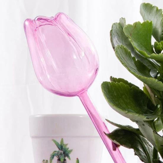 Selbstbewässernde Bewässerungsbirne von jijijing in transparent für Zimmerpflanzen und Gartenpflanzen im Innen- und Außenbereich - Bild 2