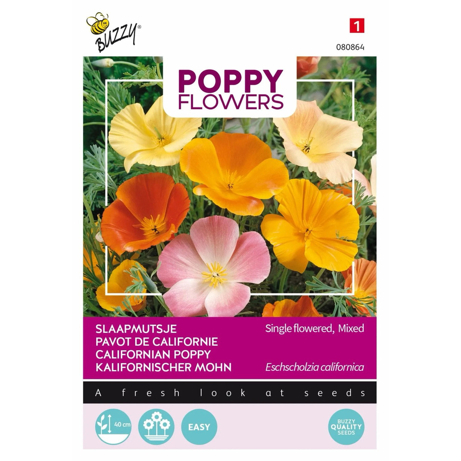 Arborix Kalifornischer Mohn Buzzy Poppy Samen für den Garten, 1 g - Bild 2
