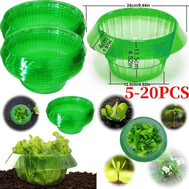 Grüner Schneckenring zum Schutz von Gemüse und Pflanzen im Garten, B/H: 24,0 x 11,5 cm - Bild 1