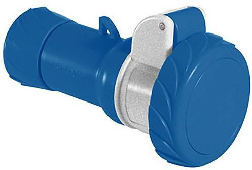 Schneider Electric PKF16M723 CEE Kupplung 16A blau IP67 mit Schraubanschluss - Bild 1