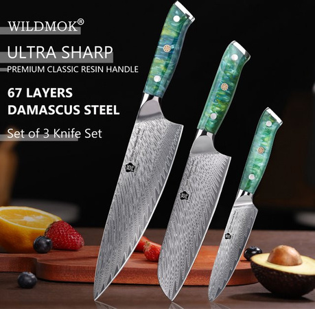 WILDMOK 3-teiliges Damaszener Messerset aus Japanischem VG10 Stahl mit Volltang-Harzgriff in Grün und Multicolour