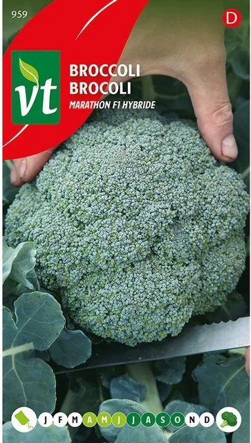 Arborix Brokkoli Marathon F1 Saatgut, 0,3 g - Bild 1