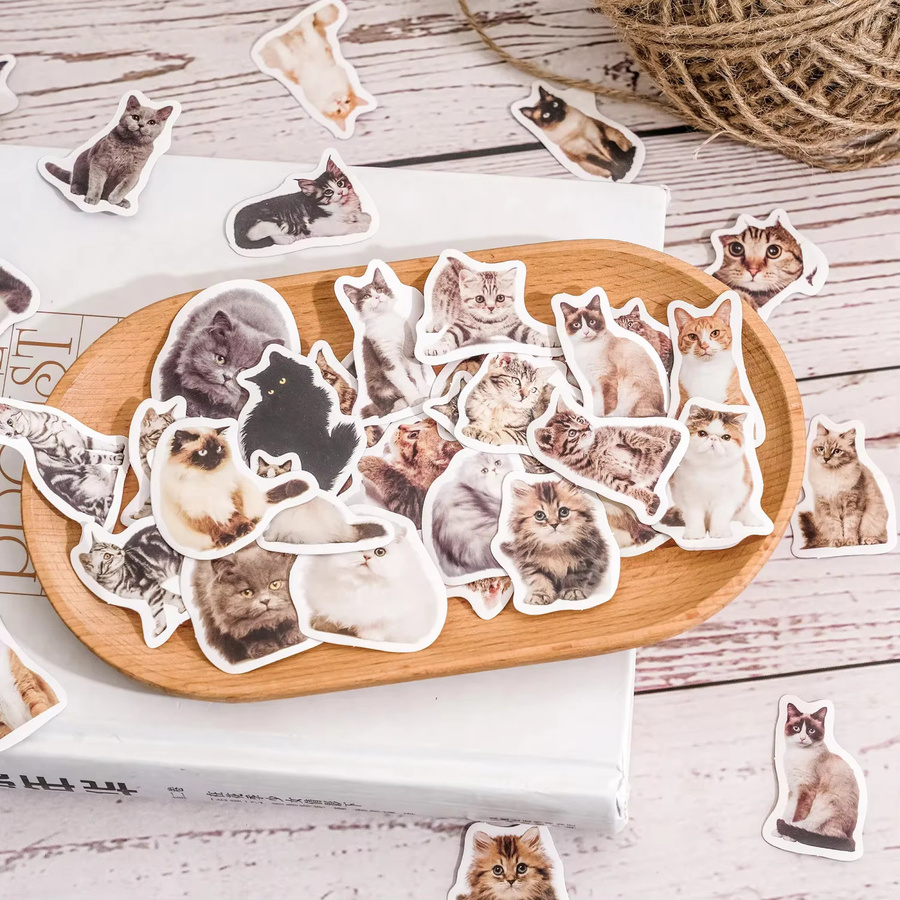 45 Stück Niedliche Katze Selfie Aufkleber Set in Multicolour für Scrapbooking, Tagebuch und Planer - Bild 2