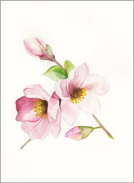 Komar Wandbild Magnolia Breathe, Poster aus Qualitätsvlies, Breite: 40 cm, Höhe: 50 cm - Bild 1
