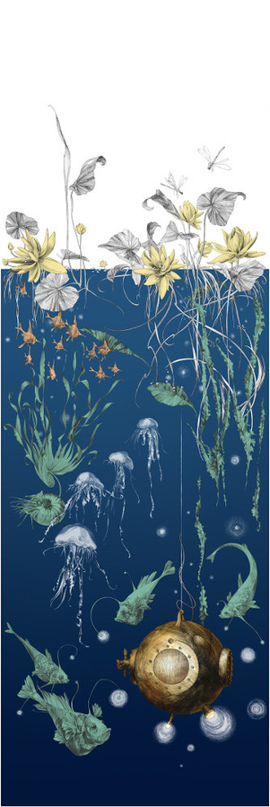 Edmond Petit Meeres-Tapete Nautilus droit in Marineblau - Bild 1