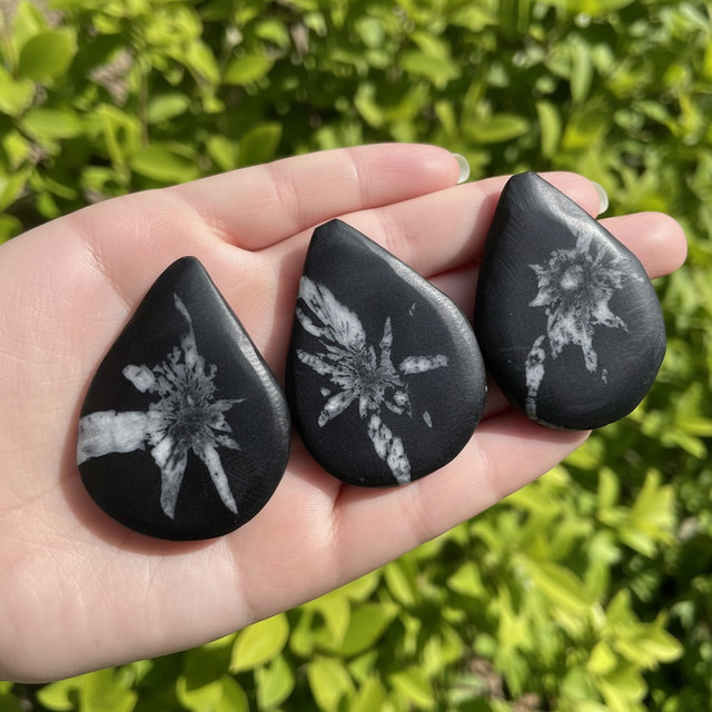 CrystalHola Tropfenanhänger, Chrysanthemenstein, Schwarz, Bohemian - Bild 1
