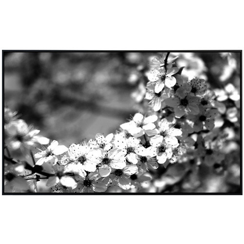 papermoon EcoHeat Infrarotheizung Blumen Schwarz Weiss mit Matt-Effekt und App-Steuerung - Bild 2