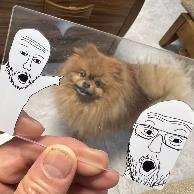 Kreatives Acryl-Lesezeichen mit Wojak und Soyjak Cartoon Motiven in Transparent - Bild 4